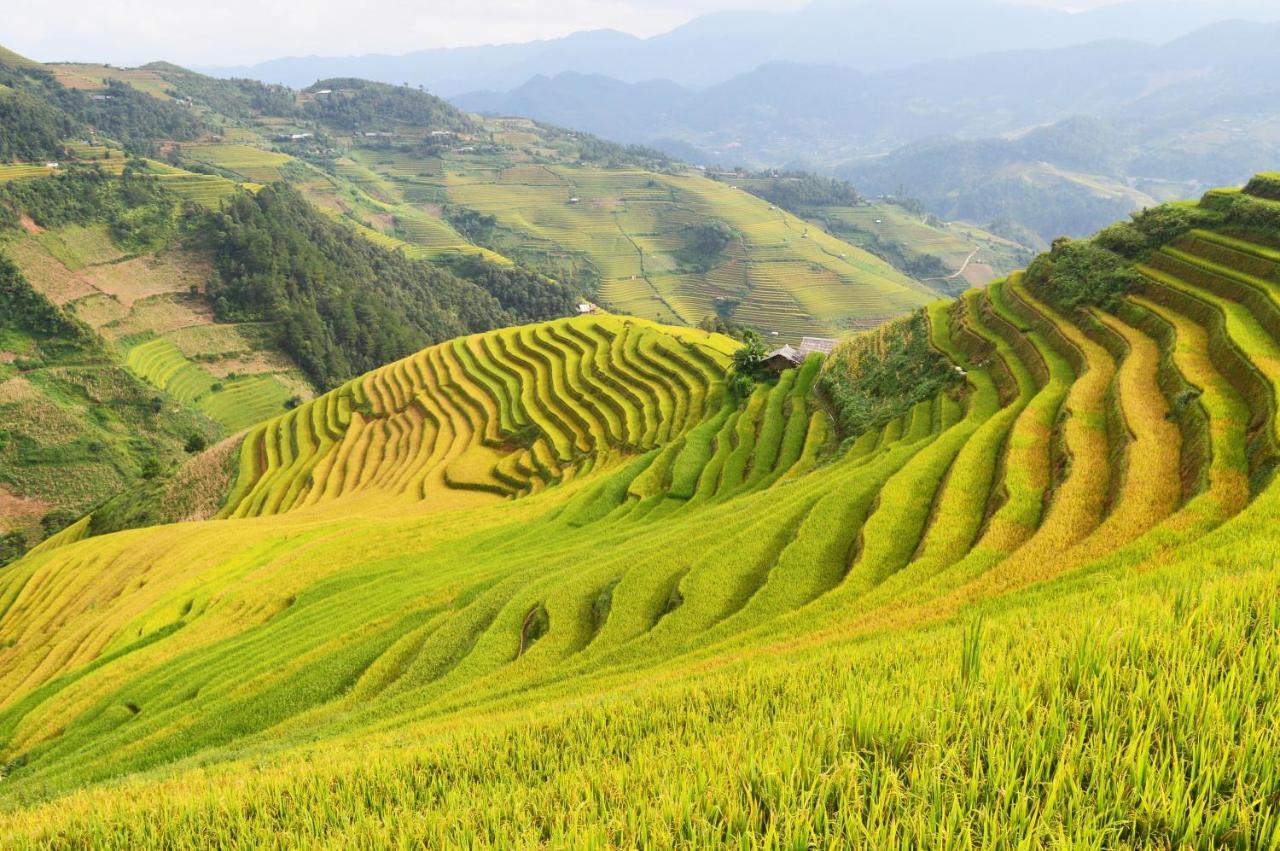 Mu Cang Chai Homestay & Trekking Exterior photo