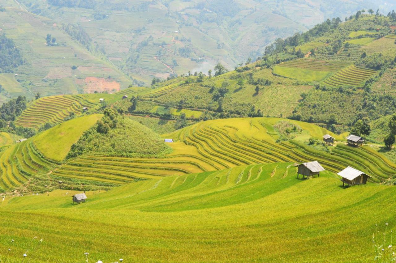 Mu Cang Chai Homestay & Trekking Exterior photo