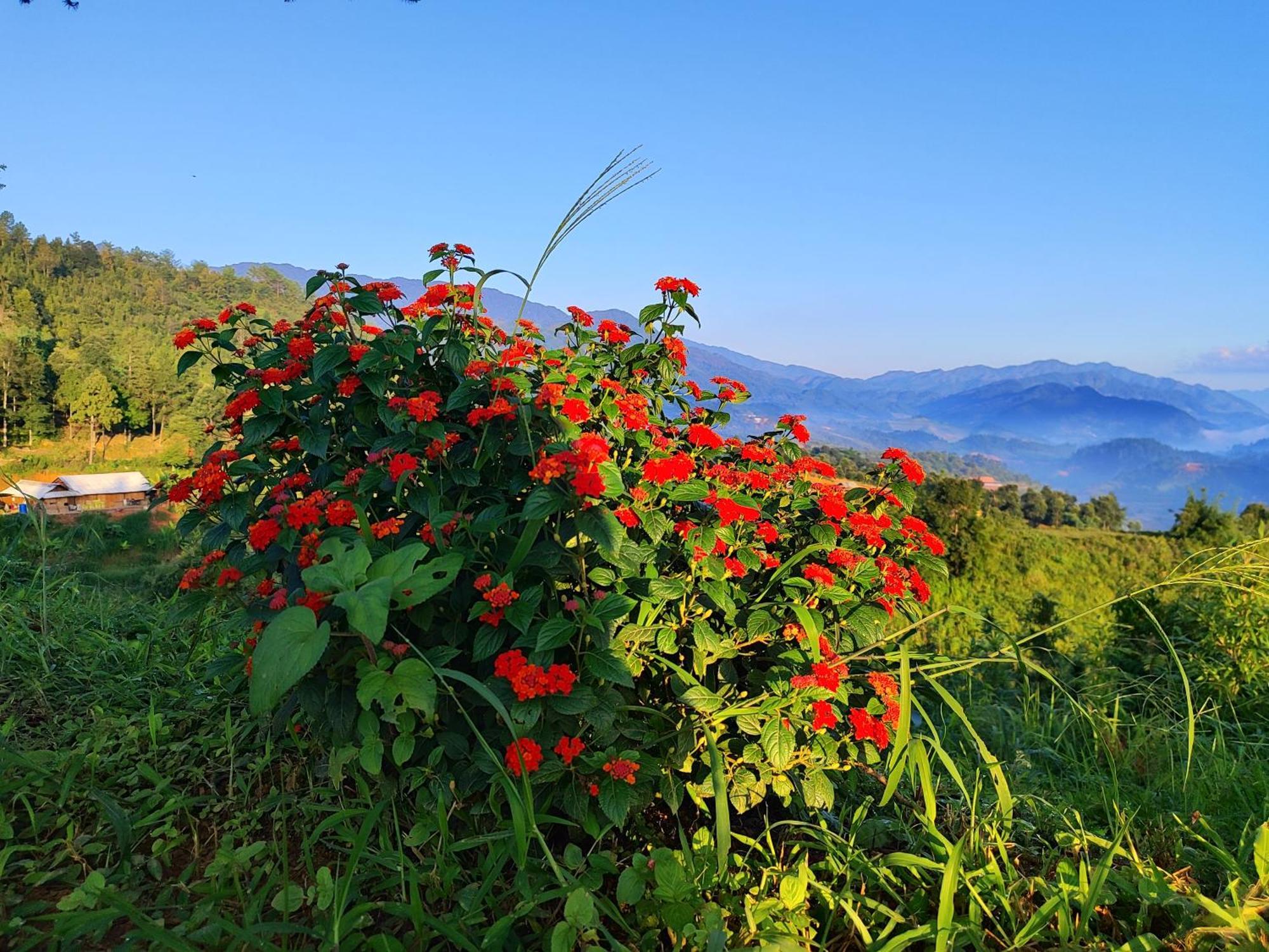 Mu Cang Chai Homestay & Trekking Exterior photo