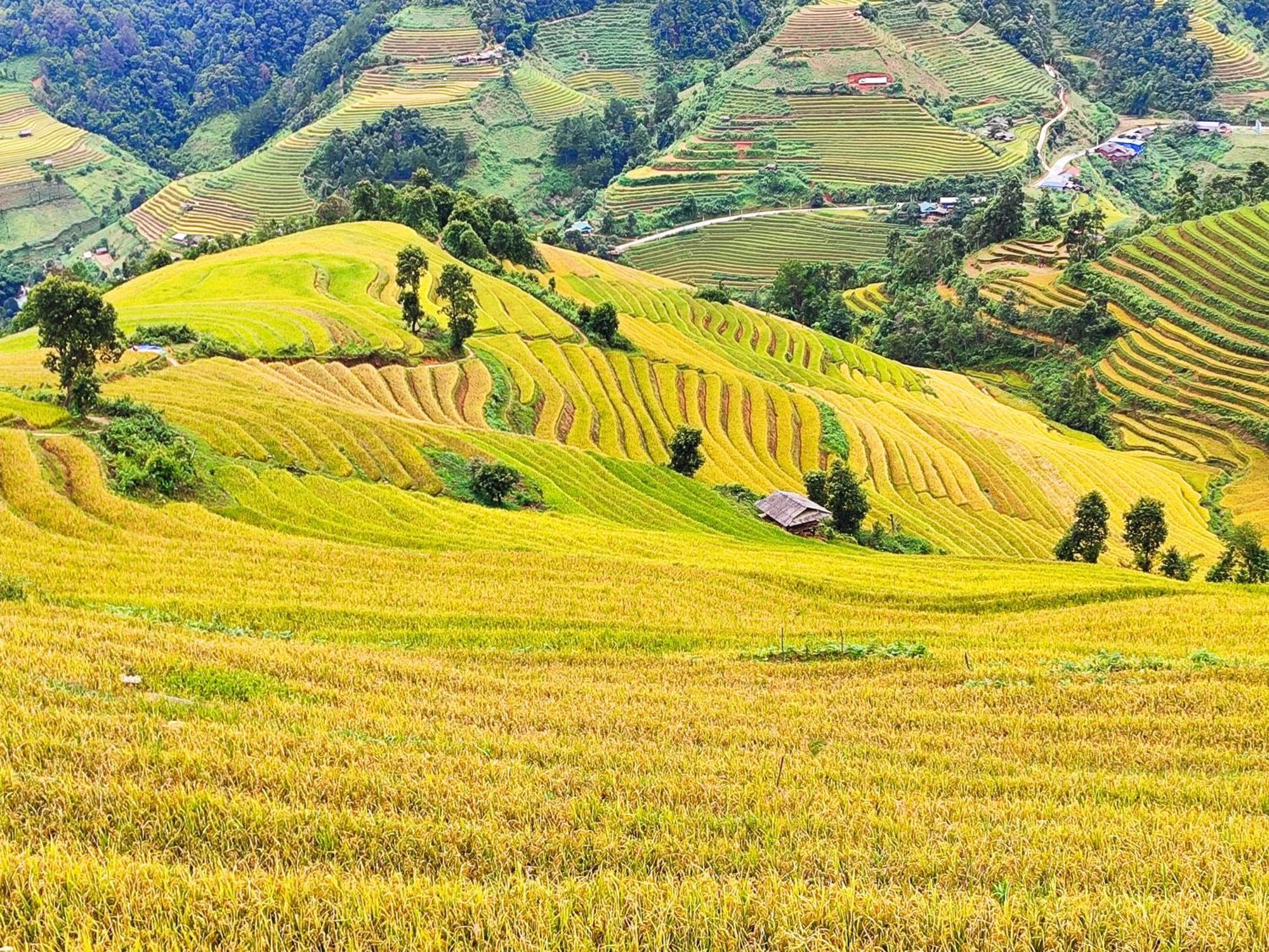 Mu Cang Chai Homestay & Trekking Exterior photo
