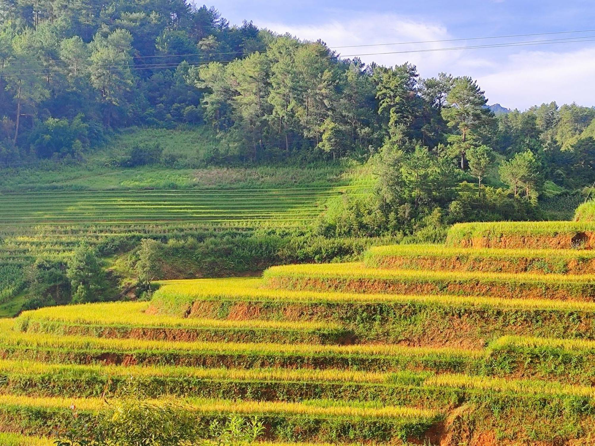 Mu Cang Chai Homestay & Trekking Exterior photo